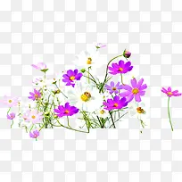 紫色春天花朵手绘