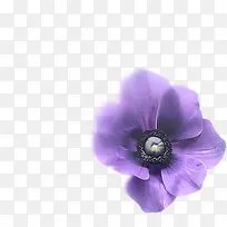 紫色花朵手绘梦幻