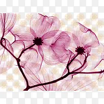紫色透明花朵背景
