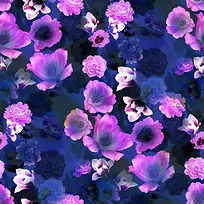 紫色花朵摄影设计