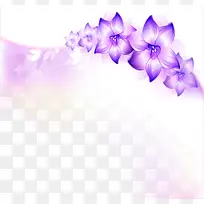 紫色绚丽花朵