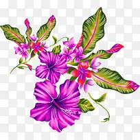 紫色卡通手绘花朵植物