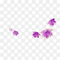 紫色花朵手绘插画