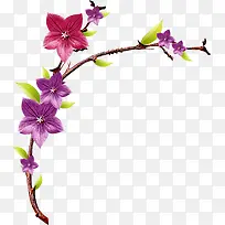 粉紫色春天清新花朵