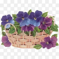 手绘蓝紫色花朵花篮