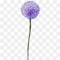 薰衣草