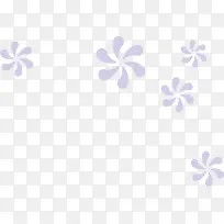 紫色花朵漂浮