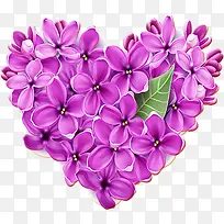 紫色花卉心形