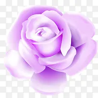 紫色卡通唯美花朵植物