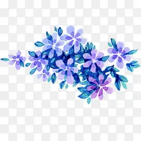 紫色唯美意境花朵