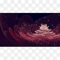 紫色梦幻半透明花朵