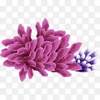 粉紫色海底世界花朵