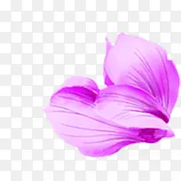 手绘紫色植物花朵