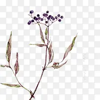创意合成高清紫色的植物花卉