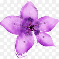 创意合成紫色的花卉手绘