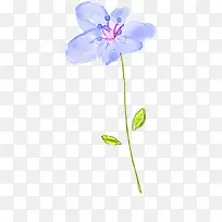 手绘紫色淡彩花卉画册