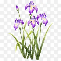 手绘紫色简约花朵