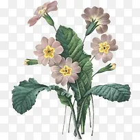 手绘紫色美丽花朵植物