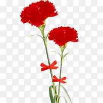 免抠透明红色康乃馨花朵