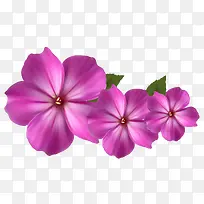 紫色质感手绘花卉