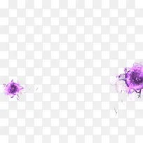 紫色梦幻神秘花朵