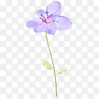 手绘紫色淡彩花卉封面