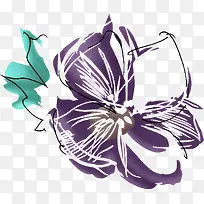 手绘紫色花卉个性图片
