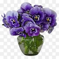 紫色的创意合成花卉植物
