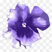 紫色水墨画花卉