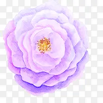 手绘紫色花朵装饰植物春日