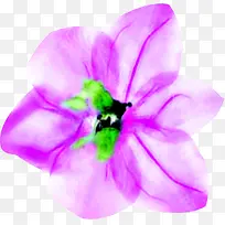 紫色梦幻水彩花朵