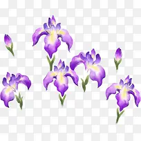 手绘紫色唯美花朵美景