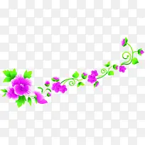 紫色花朵植物装饰