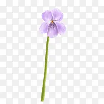 紫色水墨花朵唯美