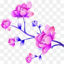 手绘粉紫色花朵花枝