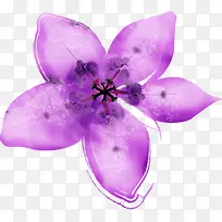 创意合成紫色的花卉效果