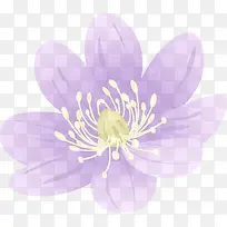 紫色花卉插画展架