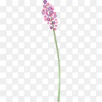 手绘紫色漫画创意花朵植物