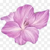 高清创意紫色的花卉植物合成效果