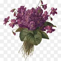 古典怀旧紫色鲜花
