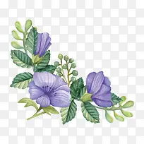 花卉边框