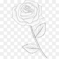 手绘玫瑰花图片素材
