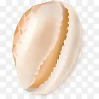 卡通贝壳