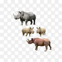 免抠素材动物犀牛