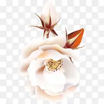 花图案元素