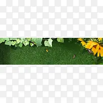 女包背景banner