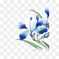 插画蓝色花朵效果