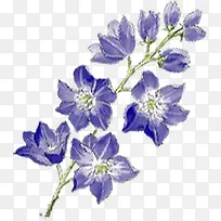 蓝色手绘花朵美景春季