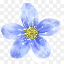 手绘清新蓝色花朵装饰