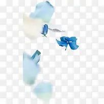 清新蓝色花朵装饰